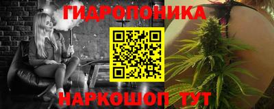 индика Ижевск