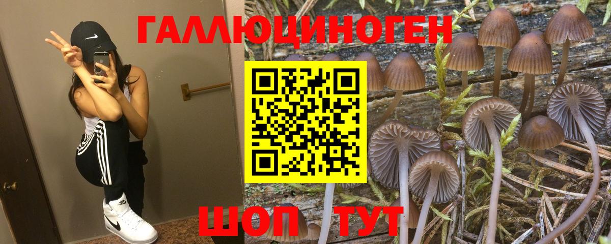 Галлюциногенные грибы GOLDEN TEACHER  Вход с VPN  Орск 